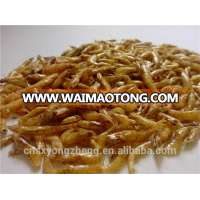 Sun Dried Shrimps For Insect Protein Material