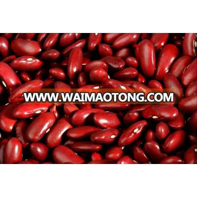 High Qualtiy Red Kidney Bean,340-350pcs/100g,Azuki Bean