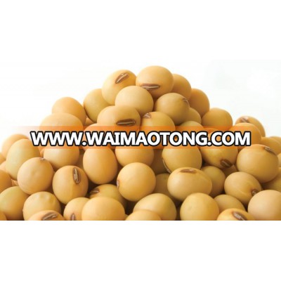 Soyabean Soyabean Seeds Soybeans Grade A Hot Sales