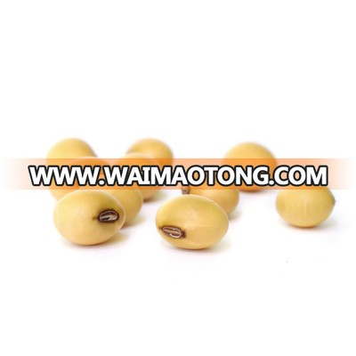 hot sale soybean seed