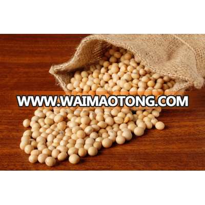 Soyabean, Soyabean Seeds, Soybeans