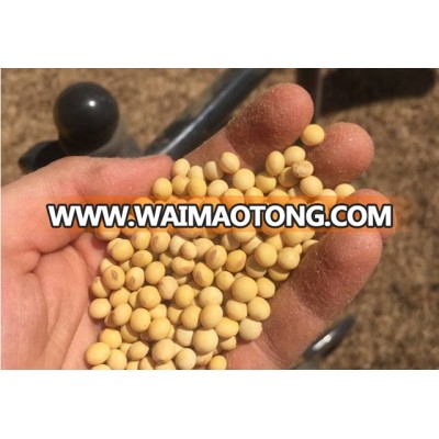 Good Grade Cost Effective SoyBean Seeds for Animal Feed