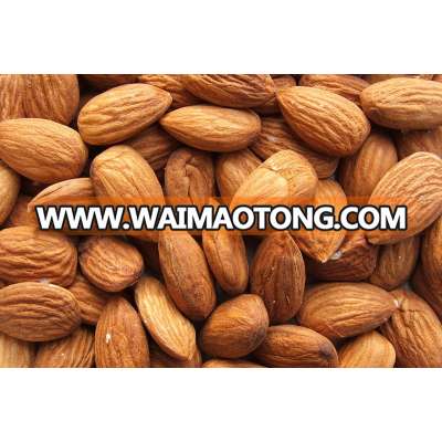 Almond,Peanut Hull,Apricot Kernels,Betel Nuts,For Sale with Low Price