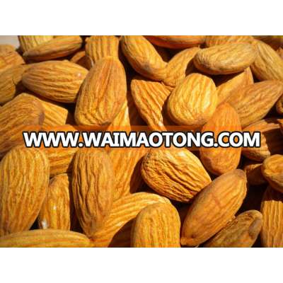 Quality Almond Nuts Kernel