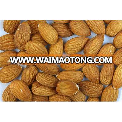 Best Quality Almond Nuts and Kernels