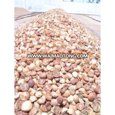 Whole Dried Betel Nut, Dried Split Betel Nut, Betel Nut for Sale