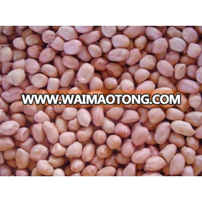 Red Skin Peanut Kernels for Sale