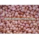 Groundnut/Peanut