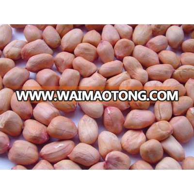 Quality Red Skin Peanuts