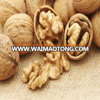 Walnuts , Walnut in Shell and Walnuts Kernels