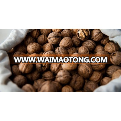 Walnut (Shelled/Unshelled)