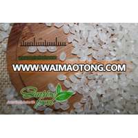 SUSHI RICE/JAPONICA RICE HIGH-QUALITY - BAGS OF RICE