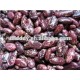 purple speckled kidney bean