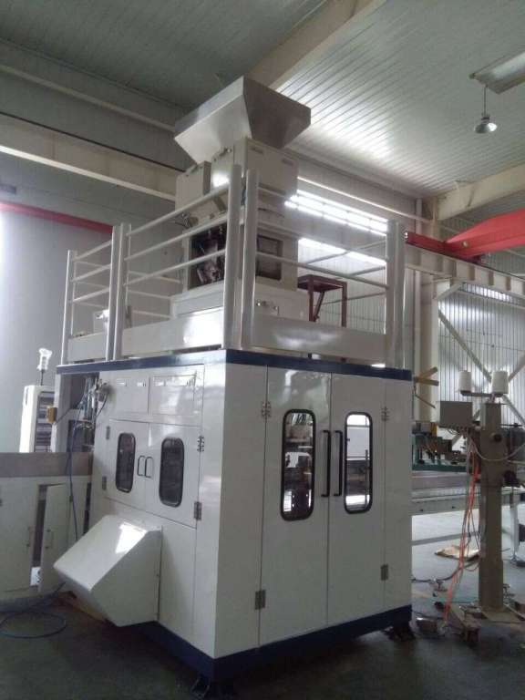 Betel Nut Packaging Machine with Conveyor Belt